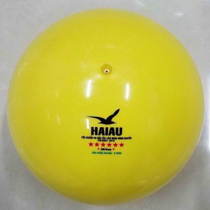 quả bóng chuyền hơi hải âu vàng 1
