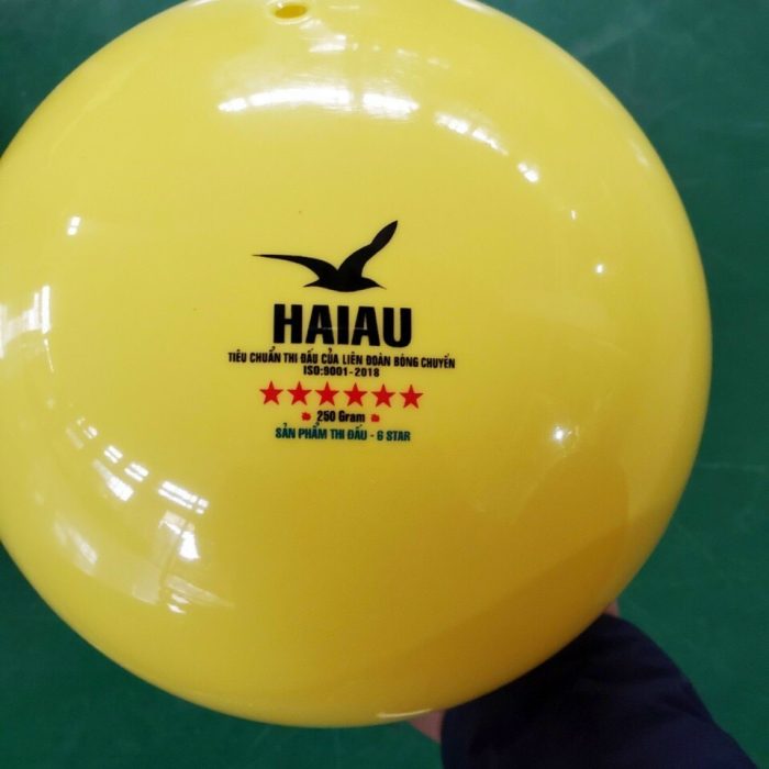 quả bóng chuyền hơi hải âu vàng