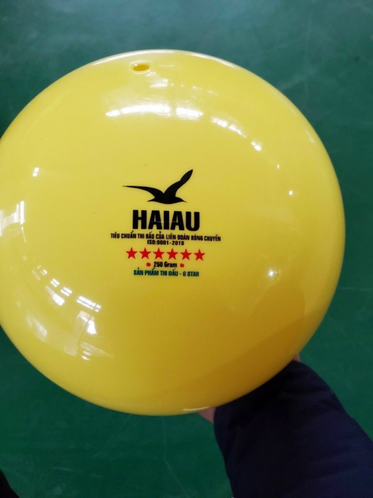quả bóng chuyền hơi hải âu vàng