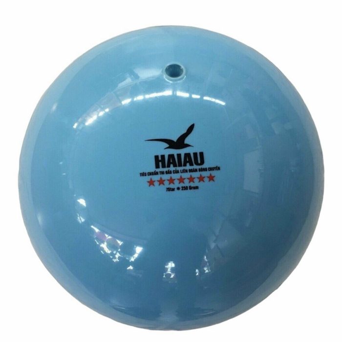 quả bóng chuyền hơi hải âu xanh 2