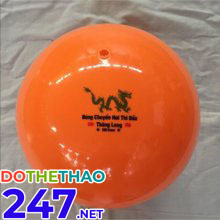 Quả bóng chuyền hơi Thăng Long 250g